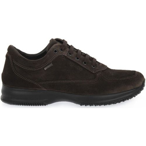 IgI&CO Sneaker TIME GTX CAFFE - IGI&Co - Modalova