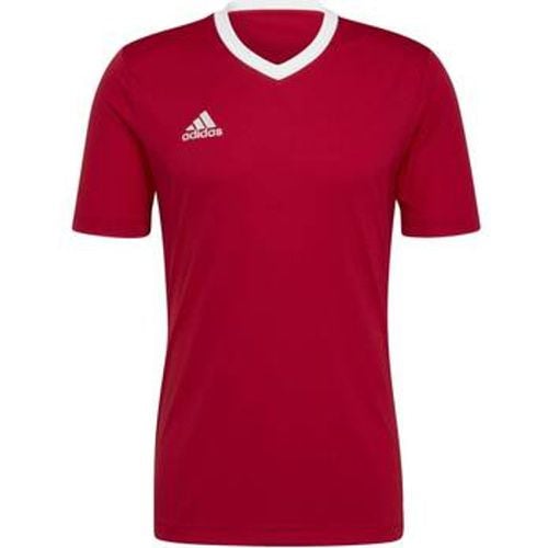 Adidas T-Shirts & Poloshirts - Adidas - Modalova