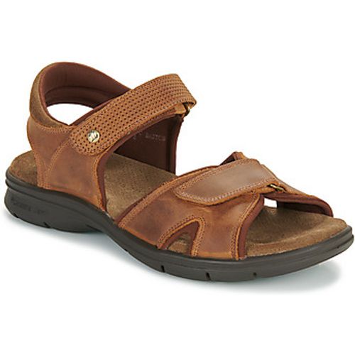 Sandalen SANDERS BASICS C4 - Panama Jack - Modalova