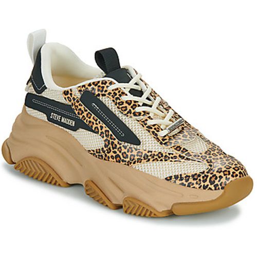 Steve Madden Sneaker POSSESSION-E - Steve Madden - Modalova