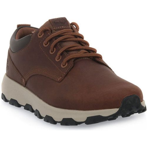 Timberland Sneaker WINSOR PARK - Timberland - Modalova