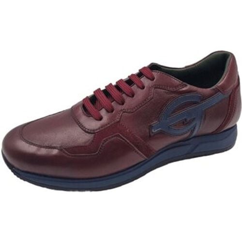 Halbschuhe Schnuerschuhe 440008 - Galizio Torresi - Modalova