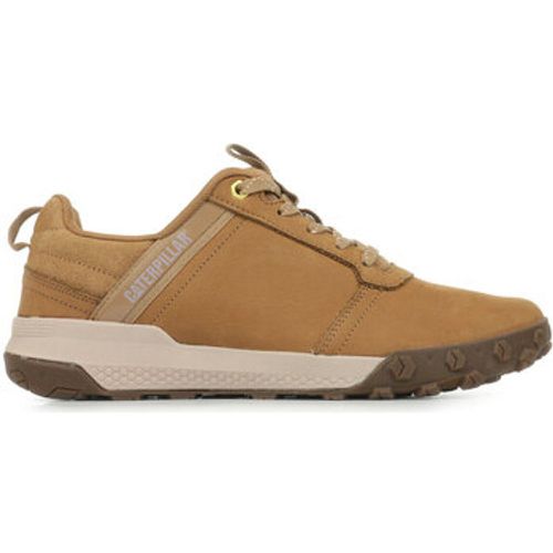 Caterpillar Sneaker Hex Ready Low - Caterpillar - Modalova