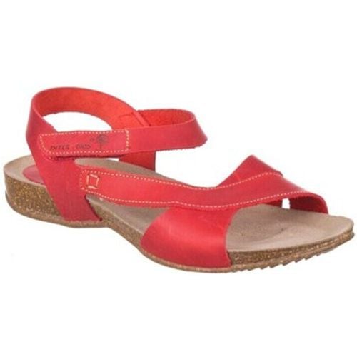 Interbios Sandalen SCHUHE 4487 - Interbios - Modalova