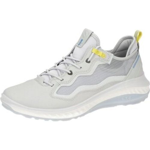 Halbschuhe Schnuerschuhe ST.360 Schuhe Sneaker 821324 82132401379 - ECCO - Modalova