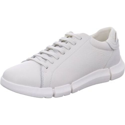 Halbschuhe Schnuerschuhe U45FFA-00046-C1000 - Geox - Modalova