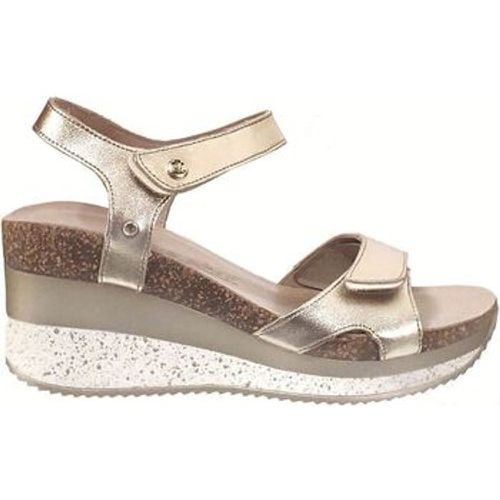 Panama Jack Sandalen Nica sport - Panama Jack - Modalova