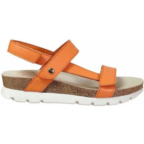 Panama Jack Sandalen Selma - Panama Jack - Modalova