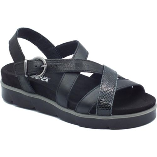 IgI&CO Sandalen 5671200 - IGI&Co - Modalova