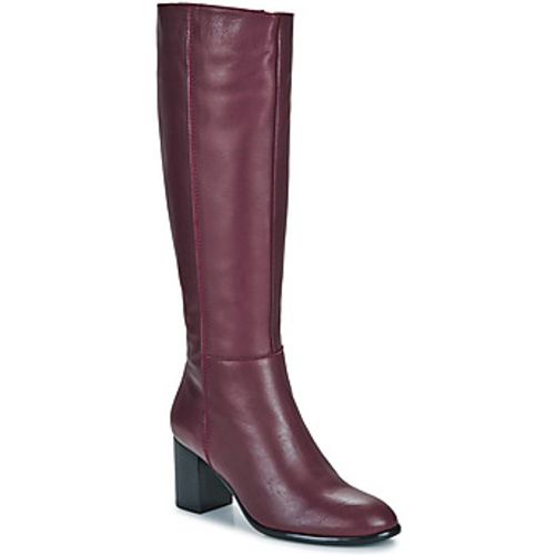 Fericelli Damenstiefel NORAYA - Fericelli - Modalova