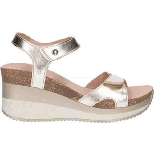 Sandalen NICA SPORT B11 - Panama Jack - Modalova