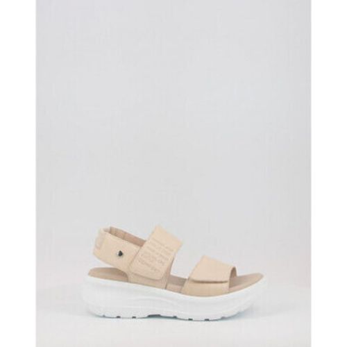 Panama Jack Sandalen NOAH B2 - Panama Jack - Modalova