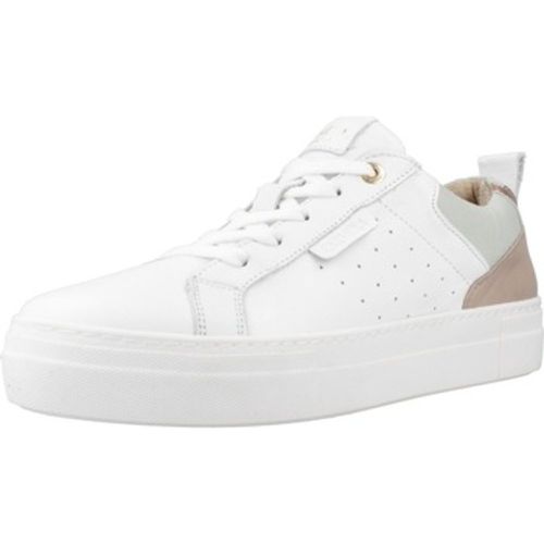 Carmela Sneaker 161333c - Carmela - Modalova