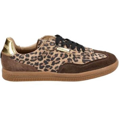 Steve Madden Sneaker Sneaker - Steve Madden - Modalova