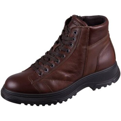 Stiefel Cosmo 2606111 cuoio Vitello Rusty 2606111 - IGI&Co - Modalova