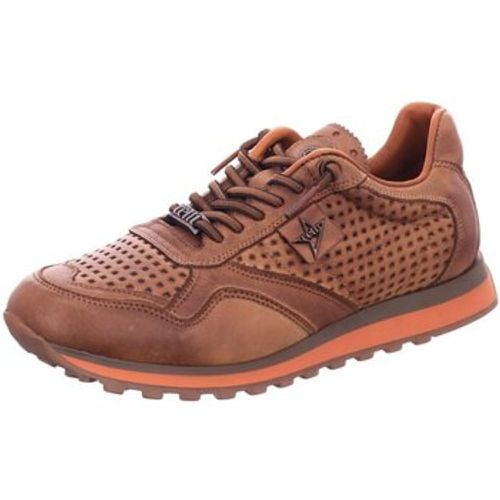 Cetti Sneaker C-848-tin testa - Cetti - Modalova