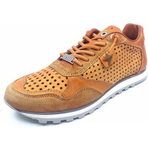 Sneaker DAMEN SNEAKER,AMBAR C848 Ambar - Cetti - Modalova