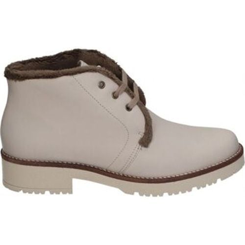 Pitillos Stiefeletten 10085 - Pitillos - Modalova