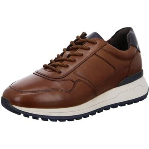 Halbschuhe Schnuerschuhe Meo Schnürer cognac 11-26801-04 - Ara - Modalova