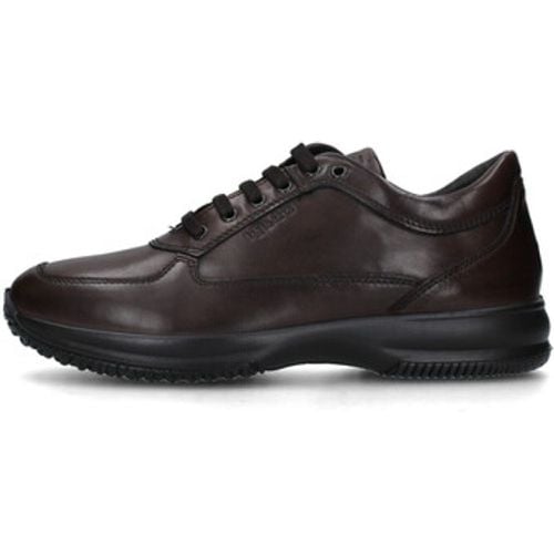 IgI&CO Sneaker 6615711 - IGI&Co - Modalova