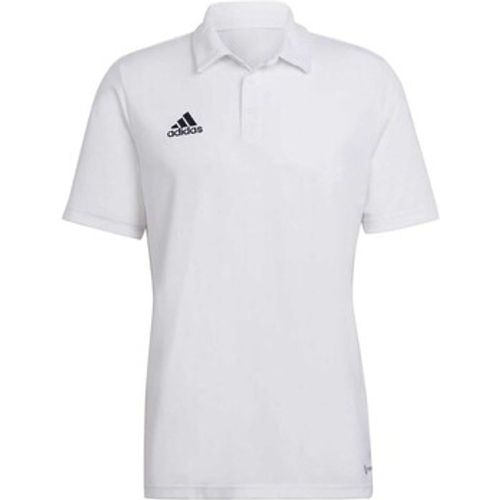 T-Shirts & Poloshirts Ent22 Polo - Adidas - Modalova