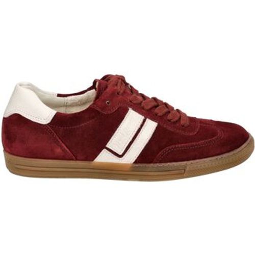 Paul Green Sneaker Sneaker - Paul Green - Modalova