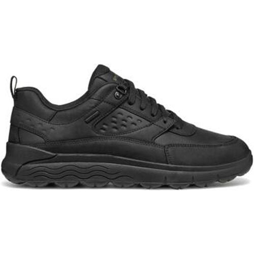 Geox Sneaker GEUAI25-U46FDD-blk - Geox - Modalova