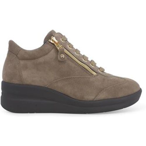 Melluso Sneaker R25625W-240080 - Melluso - Modalova