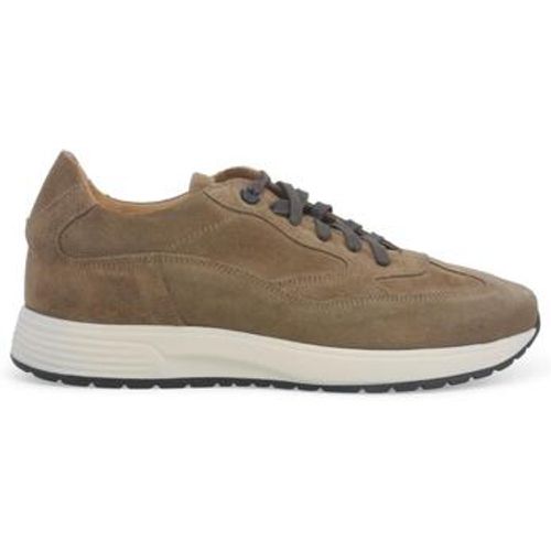 Melluso Sneaker U16252W-239051 - Melluso - Modalova