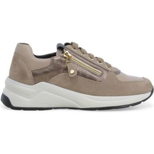 Melluso Sneaker R25731W-238841 - Melluso - Modalova