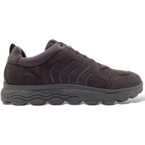 Geox Sneaker GEUAI25-U46BYB-mud - Geox - Modalova