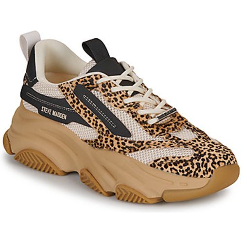 Steve Madden Sneaker POSSESSIONL - Steve Madden - Modalova