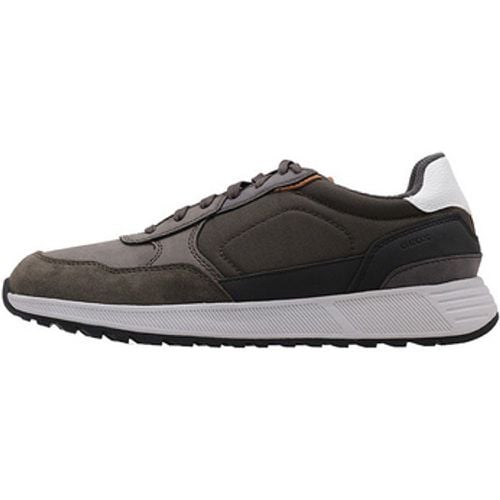 Geox Sneaker U MOLVENO B - Geox - Modalova