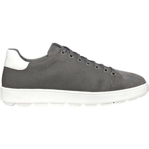 Sneaker U Spherica ECUB-1 sneaker - Geox - Modalova