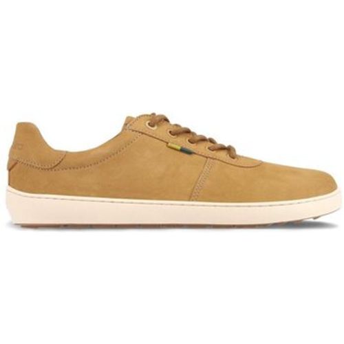 Be Lenka Sneaker Baskets Phoenix - Be Lenka - Modalova