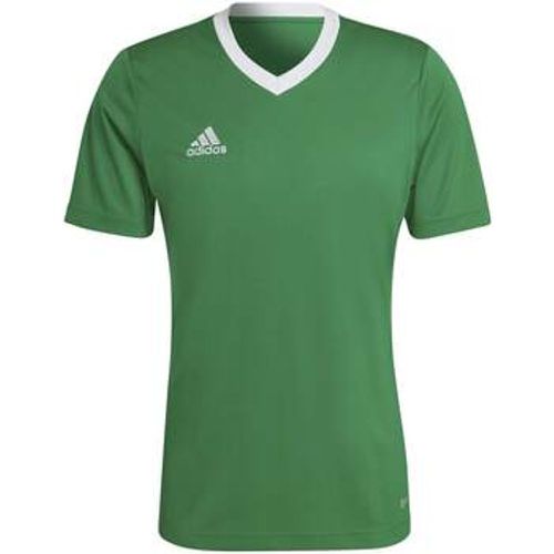 T-Shirts & Poloshirts Ent22 Jsy - Adidas - Modalova