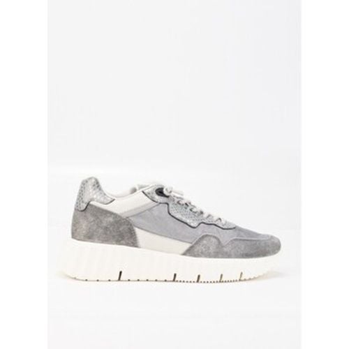 Cetti Sneaker 38143 - Cetti - Modalova