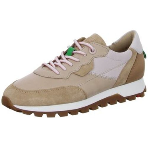 Halbschuhe Schnuerschuhe 1379032 - Lloyd - Modalova