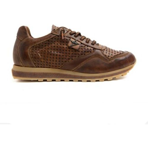 Cetti Sneaker 39511 - Cetti - Modalova
