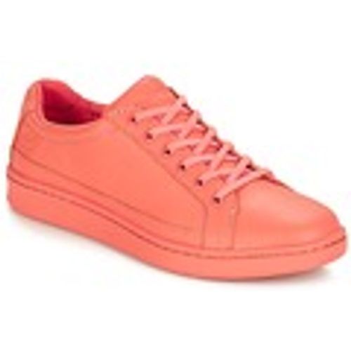 Sneakers basse San Francisco Flavor Oxford - Timberland - Modalova