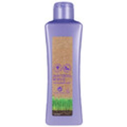 Shampoo Biokera Grapeology Shampoo - Salerm - Modalova