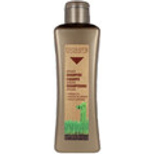 Shampoo Biokera Arganology Shampoo - Salerm - Modalova