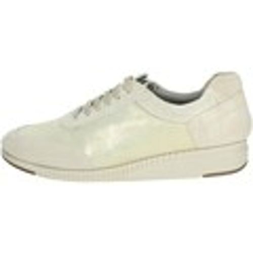 Sneakers alte Scholl JANET SNEAKER - Scholl - Modalova