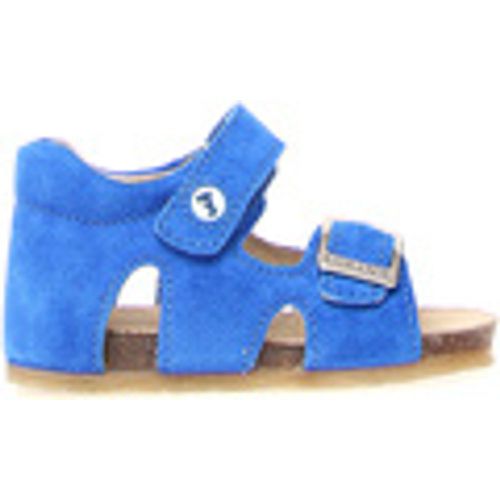 Sandali bambini - Sandalo azzurro fluo BEA-C9-0C03 - Falcotto - Modalova