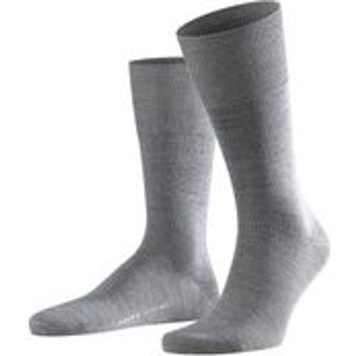 Herren Socken - Falke - Modalova