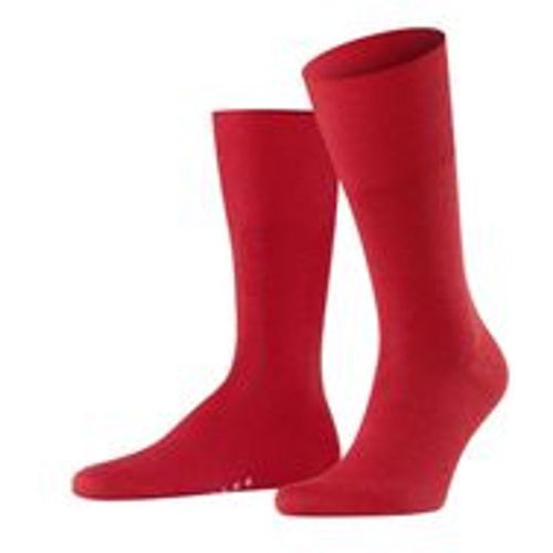 Herren Socken - Falke - Modalova