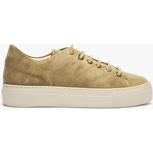 AGL - Crystal Sneaker | Damen (39) - AGL - Modalova