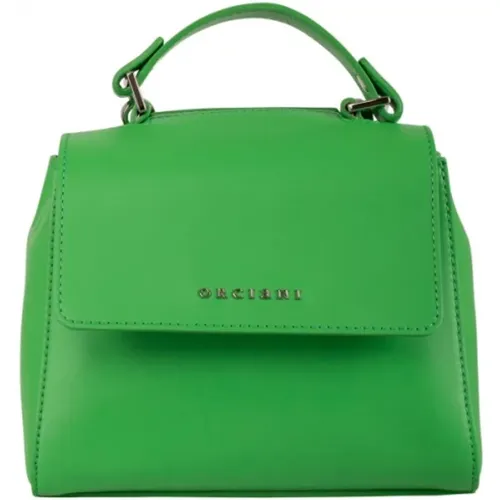 Women's Leather Handbag , female, Sizes: ONE SIZE - Orciani - Modalova