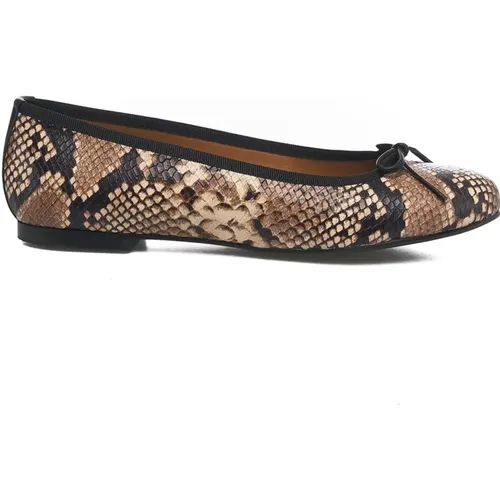 Womens Shoes Ballerinas Brown Ss24 , female, Sizes: 5 UK, 7 UK - Billi Bi - Modalova