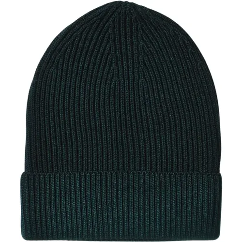Stylish Cappelli Hat , male, Sizes: ONE SIZE - Altea - Modalova